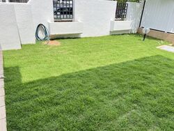 Springleaf Garden (D26), Semi-Detached #561874241